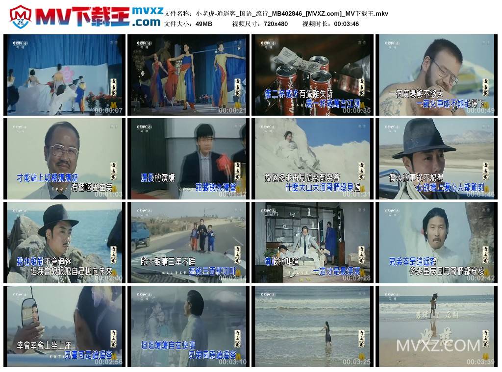 小老虎-逍遥客_国语_流行_MB402846